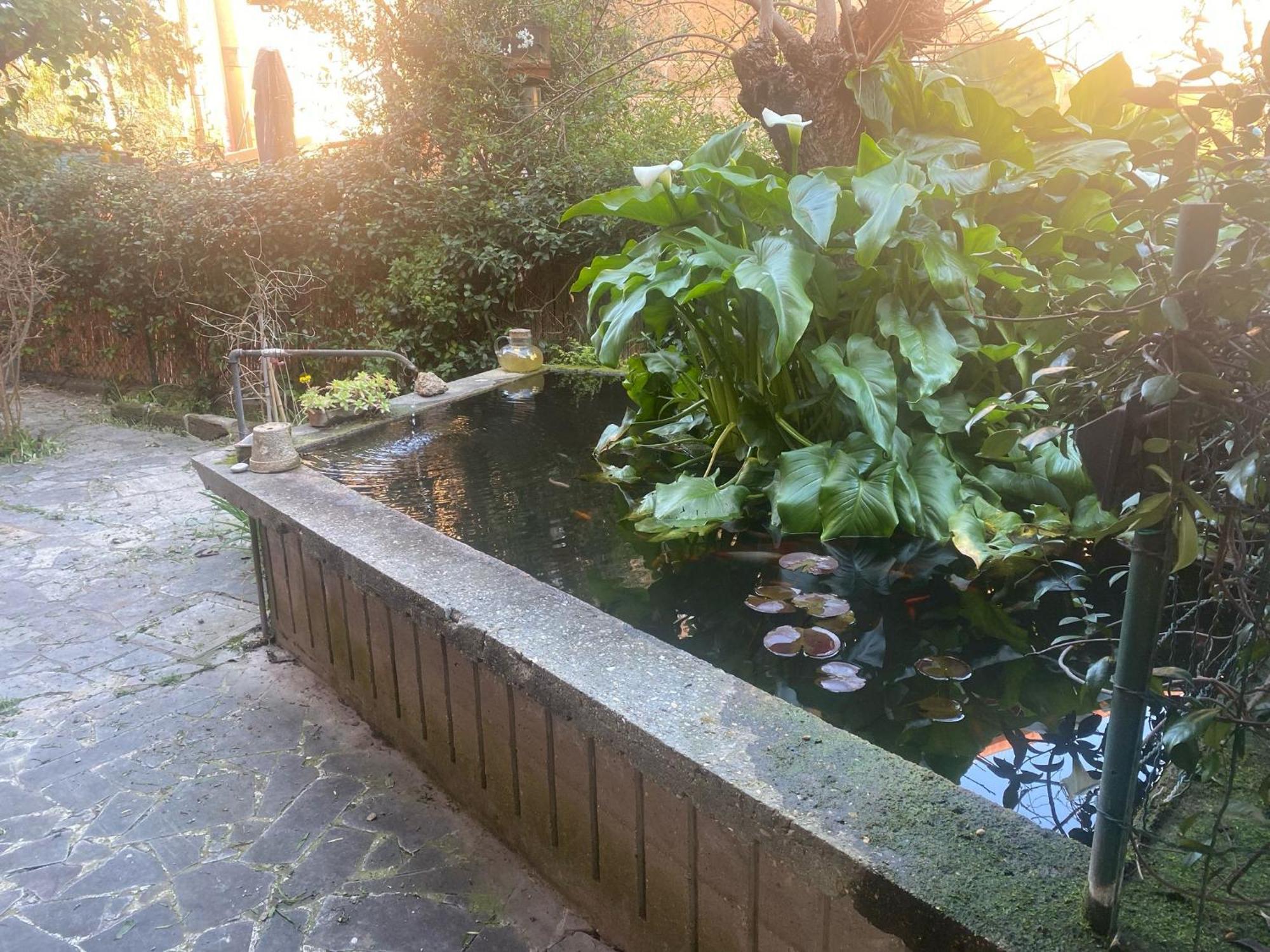 Apartamento Garbata *
