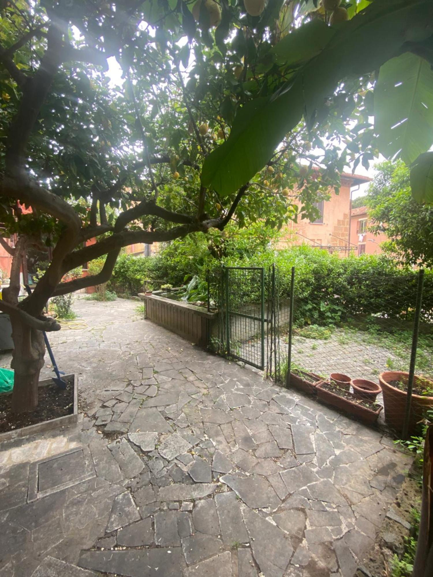 Garbata Roma